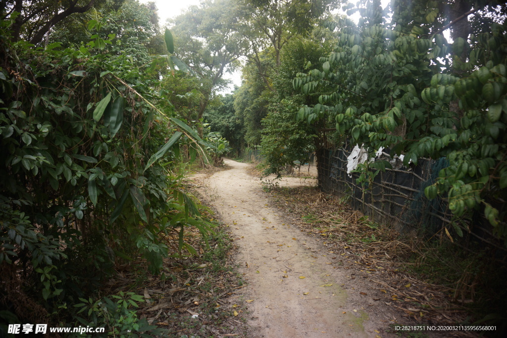 山间小路