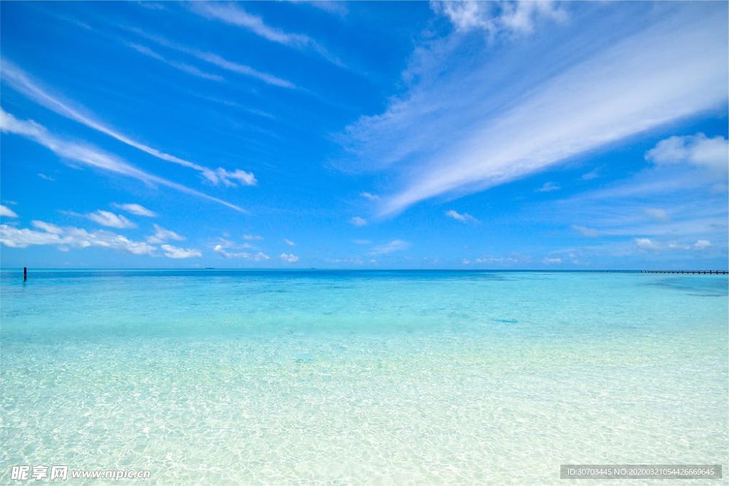海