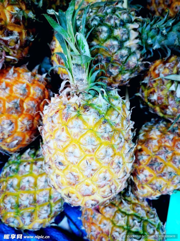 大菠萝