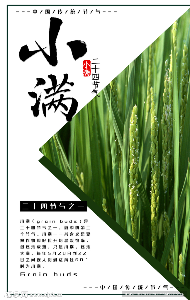 小满
