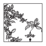 吊灯花