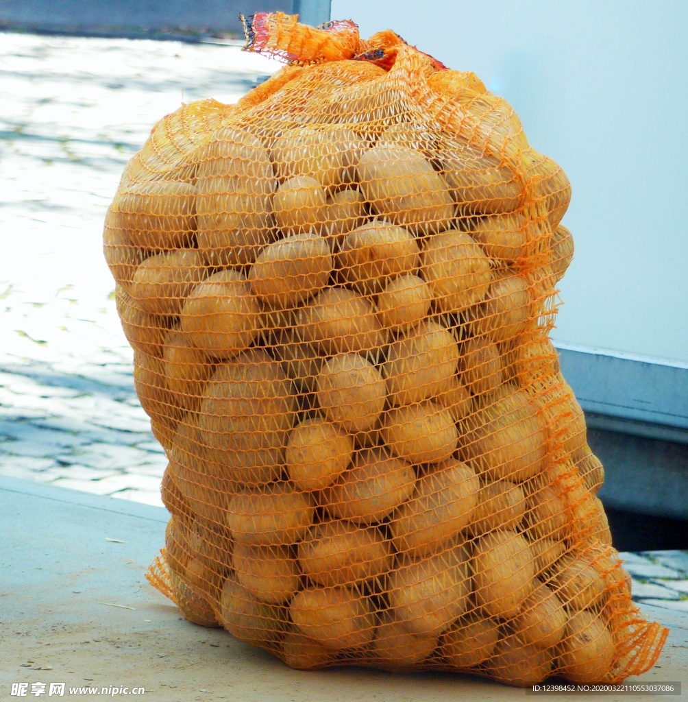 土豆