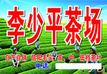 茶叶招牌