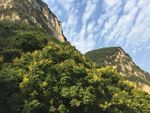 大山深处