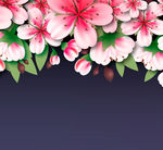 美丽粉色桃花