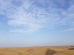 沙漠