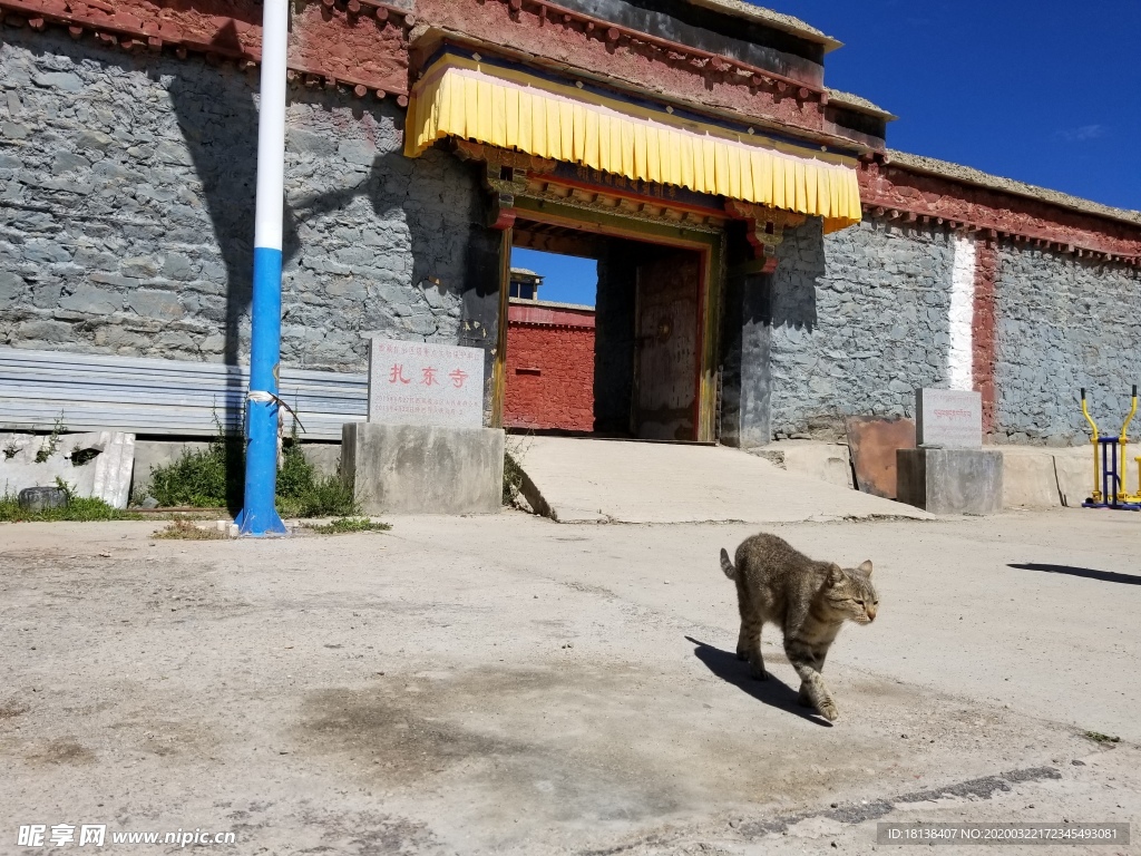 院落一角图片