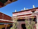 院落一角图片