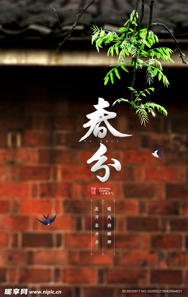 春分节气海报