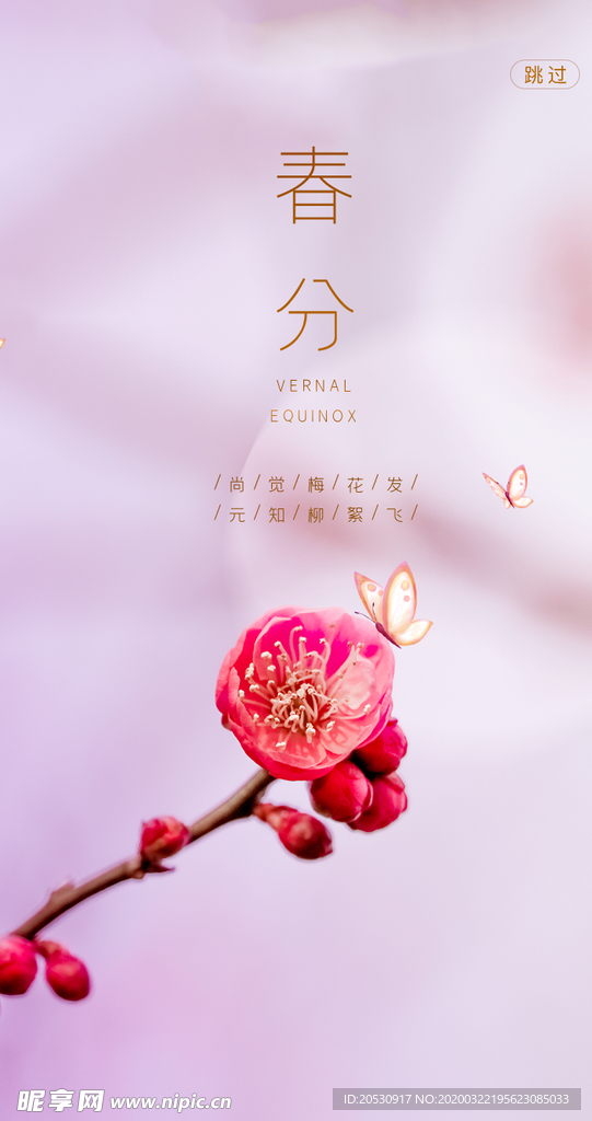 春分节气海报