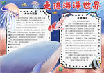 海洋小报