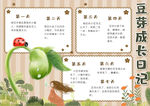 豆芽成长日记