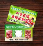 红富士苹果名片