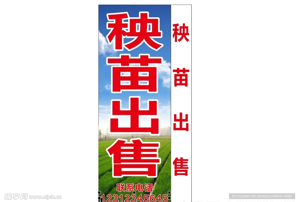 秧苗