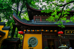 参天大树下的杭州灵隐寺