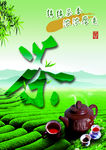 茶