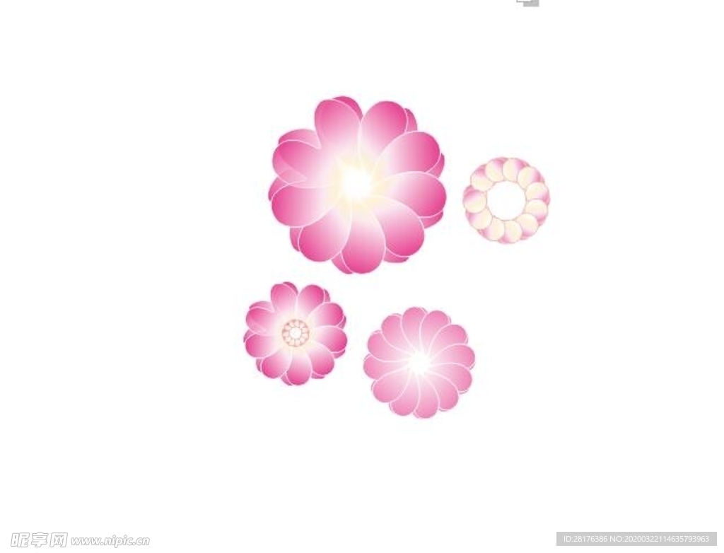 花儿