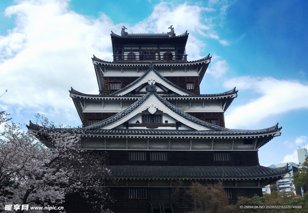 广岛城堡 日本 樱花 旅行