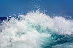 海洋