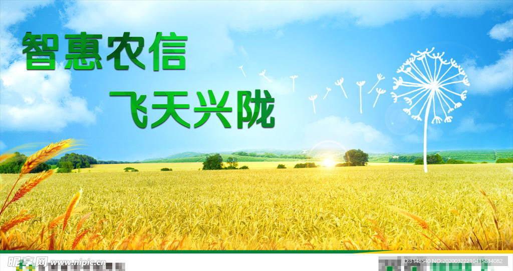 白云蓝天金色麦田蒲公英广告