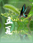 立夏