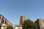 城市