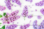 丁香花