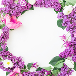 丁香花