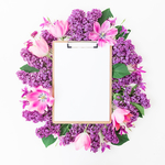 丁香花