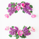 丁香花