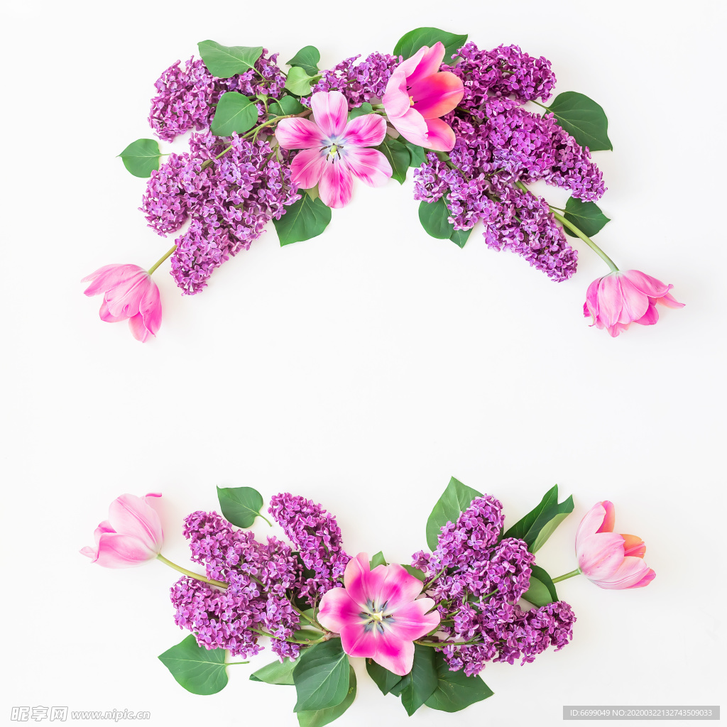 丁香花