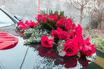车花