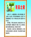 南辕北辙