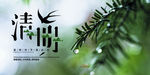 清明节