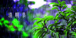 清明节