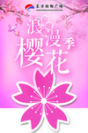 超市樱花吊牌