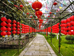 荻港古村