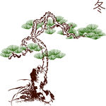 枯树