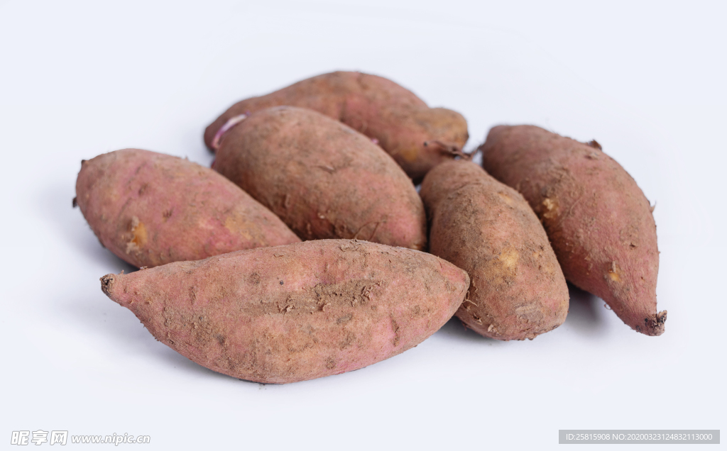 红薯地瓜番薯图片
