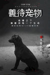 保护动物