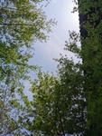 香山风光