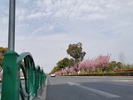 春日道路