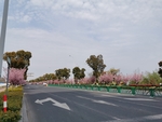 春日道路