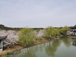 香山风光