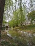 香山风光