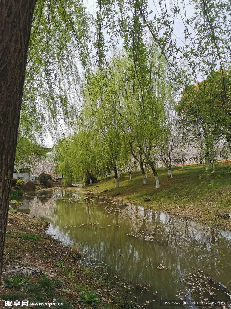 香山风光