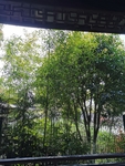 香山风光