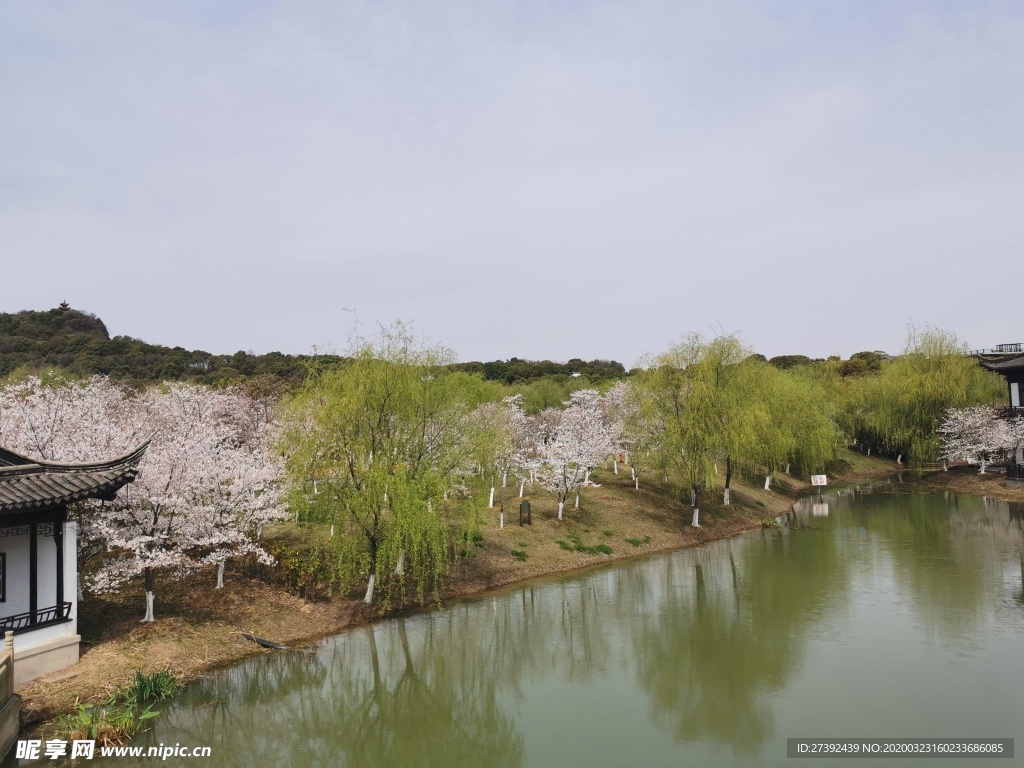 香山风光