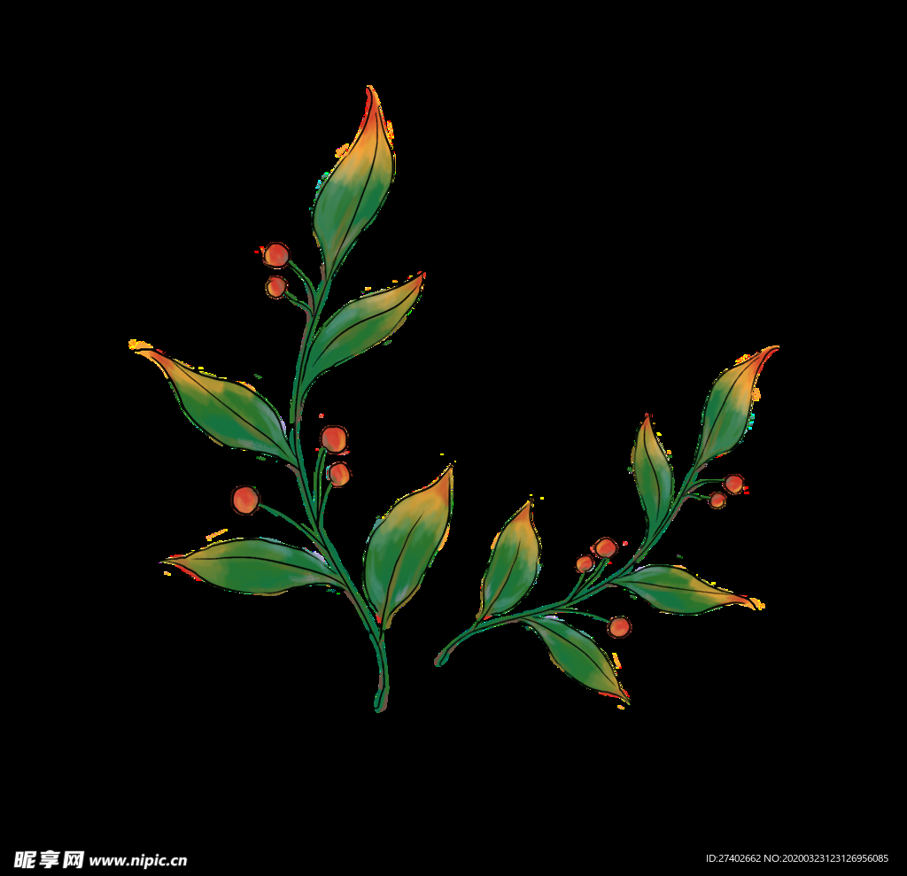 植物免抠图