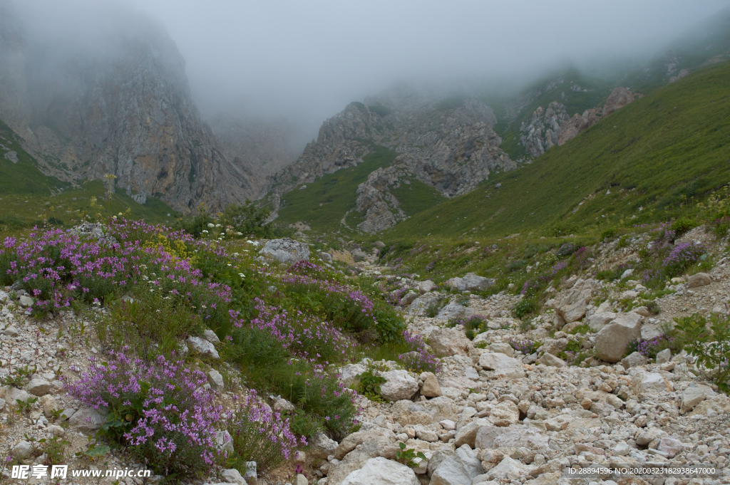 高加索地区 边坡 山 景观